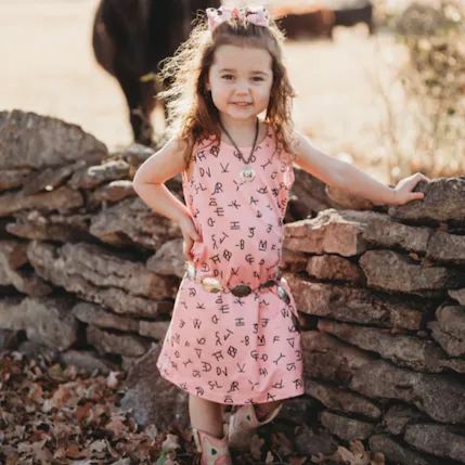 Pink Brand Dress Toddler (2T-5T)